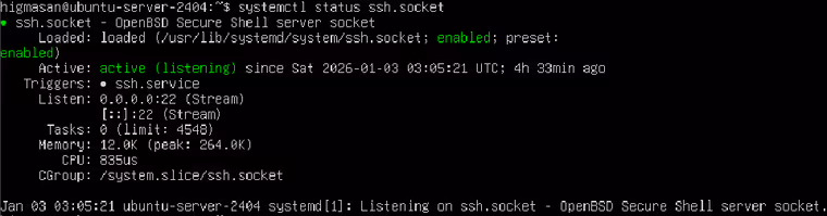 sshソケットの状態確認